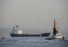 Iran’s Hand in Gaza