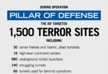 Operation Pillar of Defense: Summary of Events