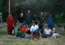 Animal Therapy for Sderot Youth