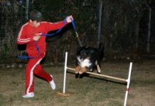 Sderot Youth Excited about City’s First National Dog-Training Competition