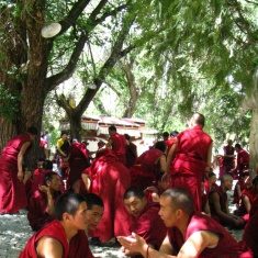 From Tibet to Sderot