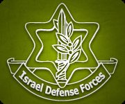 IDF’s CoGAT coordinates transfer of humanitarian aid into Gaza Strip