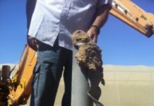 Hamas Cautious With Grads