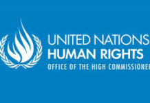 United Nations Independent Commission of Inquiry on the 2014 Gaza Conflict: extension of deadline to 15 February 2015 for additional submissions