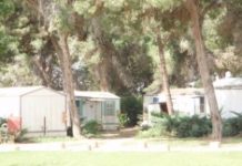 My Story: A Mother Speaks Out from Kfar Aza