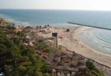 The Normal Life Experience