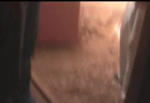 August – September Video report